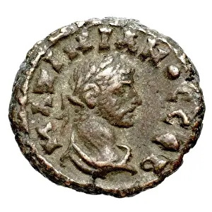 Roman Antiquity Prints: A bronze coin from Alexandria, Egypt
