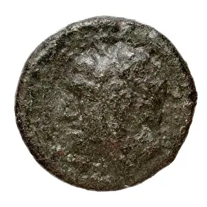 A bronze coin from Léontinoi, Sicily