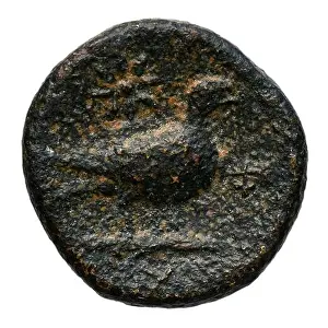 A bronze coin from Paphos, Cyprus