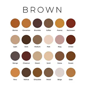 Brown Color Shades Swatches Palette with Names