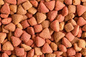 Pet Food Prints: Brown Dry Dog Food Pile Background Close Up