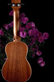 Sideways Prints: Brown guitar ukulele back side magenta flowers black background