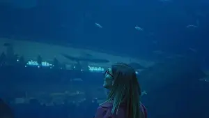 Fascination Prints: A brunette woman admires marine life at the dubai aquarium