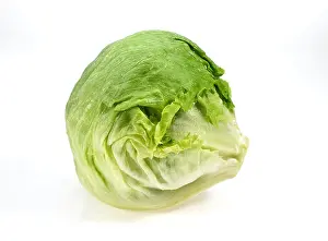 Brassicaceae Prints: Brussels Sprouts, brassica oleracea, Vegetables against White Background