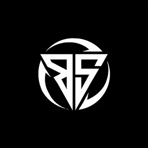 Lowercase Prints: BS logo with triangle shape and circle rounded design template isolated on black background