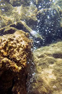 Carribean Prints: Bubbles escaping from the rocks on Champagne Reef near Roseau, Dominica