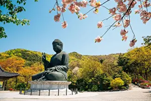 Monument Mountain Prints: Buddha statue with cherry blossoms at Gakwonsa Temple in Cheonan, Korea