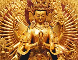 Insides Prints: buddhism, goddess, bhrikuti, vajra tara, buddhisms, bhrikutis, vajra taras