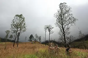 Vocation Prints: Bukit Penyesalan di Gunung Rinjani