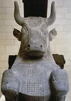 Antlers Prints: Bull capital of a column from audience hall of the Palace of Darius I