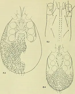 Parasitic Prints: Bulletin of the British Museum (Natural History)