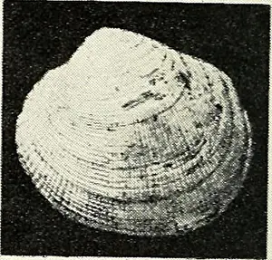 Booksubjectnaturalhistory Prints: Bulletin of the Southern California Academy of Sciences