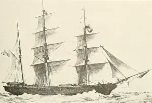 Bookdecade1870 Prints: Bulletin - United States National Museum