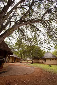 Wildlife Conservation Prints: Some bungalows at a camp at Kruger national Park, South Africa