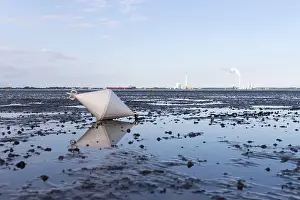 Water Reflections Prints: A buoy stranded on the mudflats of the Wadden Sea near Tossens