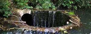 Collapse Prints: Burgess Hill sink hole water overflowing