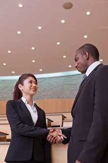 Well Dressed Prints: Businessman and businesswoman shaking hands