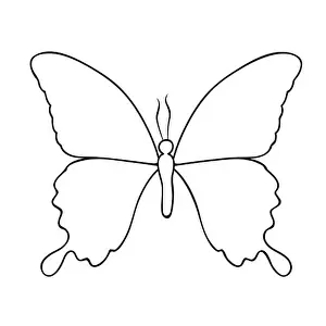 Imagine Prints: butterfly line drawing isolated on a white background vector illustration EPS10