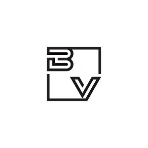 Line Vector Vectors Prints: BV initial logo letters in high quality professional design that will print well across any print media