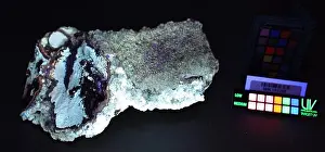Deposits Prints: Calcite. minerals. North America; USA; Oregon; Yamhill County; Near McMinnville