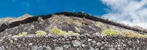 Beds Prints: The Caldereta de Las Indias Cinder Cone is a small mafic phreatomagmatic centre partly exposed in a roadcut in southern