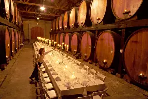 Vineyards Prints: California Golden State, Napa Valley St