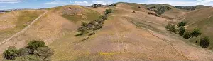 California native oak trees grow in the valleys between rolling hills in the East Bay, not far east of San Francisco Bay
