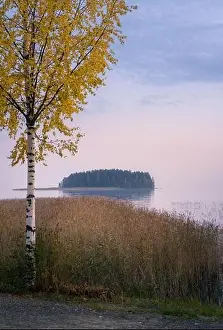 Calm autumn evening landscape with fall color birch trees and tranquil lake in Finland