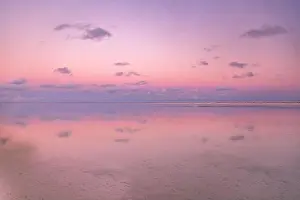 Amazing Nature Prints: Calmness and tranquil zen-like sunset at the beach with beautiful colors in pink and red with reflections on the water