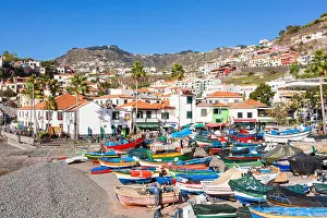 Madeira Island Prints: camara de lobos madeira camara de lobos fishing village Traditional decorated fishing boats Camara de Lobos harbour