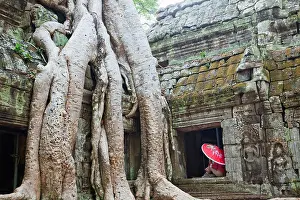 Prohm Prints: Cambodia, Siem Reap, Angkor, Ta Prohm Temple