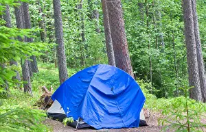 Tent Prints: camping outdoor with tent in woods in summer