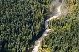 Cable Car Prints: Canada, British Columbia, Whistler