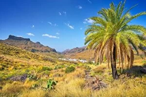 Images Dated 17th March 2017: Canarian landscape, Gran Canaria, Canary Islands, Spain