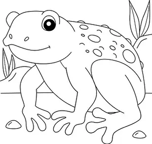 Cane Toad Frog Animal Coloring Page for Kids
