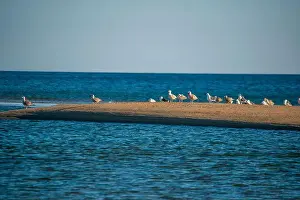 Cape Cod Prints: Cape Cod National Seashore features Herring Cove and full access to the Atlantic Ocean near Provincetown