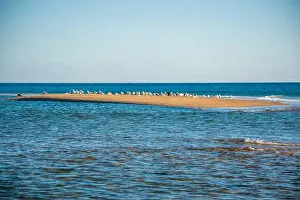 Cape Cod Prints: Cape Cod National Seashore features Herring Cove and full access to the Atlantic Ocean near Provincetown