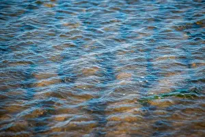 Cape Cod Prints: Cape Cod National Seashore features Herring Cove and full access to the Atlantic Ocean near Provincetown