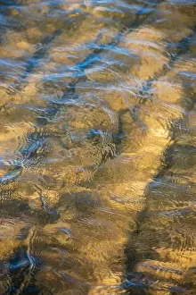Cape Cod Prints: Cape Cod National Seashore features Herring Cove and full access to the Atlantic Ocean near Provincetown