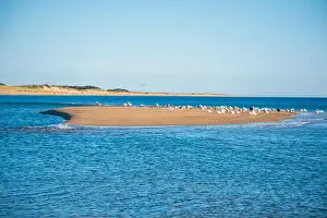 Cape Cod Prints: Cape Cod National Seashore features Herring Cove and full access to the Atlantic Ocean near Provincetown