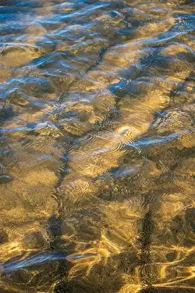 Cape Cod Prints: Cape Cod National Seashore features Herring Cove and full access to the Atlantic Ocean near Provincetown