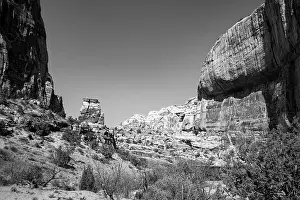 Capitol Prints: On the Capitol Gorge Trailhead at the end of the Scenic Drive in Capitol Reef National Park