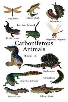 Extinction Prints: Carboniferous Animals - A collection of animals