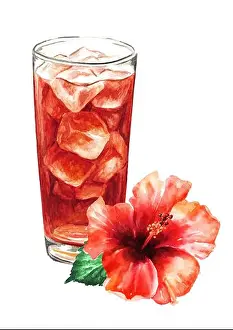 Teacup Prints: Carcade ice tea and hibiscus flower