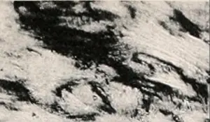 Environmental Science Prints: Carnegie Institution of Washington publication