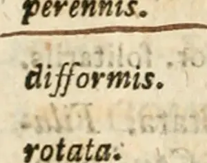 Attributes Prints: Caroli a LinnÃ© eqvitis Systema vegetabilivm