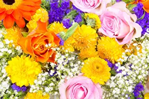 Pflanzen Prints: Carpet of flowers 2
