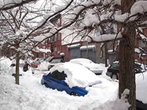Brooklyn New York Prints: Cars buried under snow after snowstorm, Brooklyn, New York