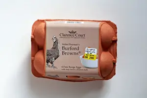 Looking Down On Prints: Carton of Clarence Court Mabel Pearman's Burford Browns 6 Free Range eggs with deep brown coloured shells on white