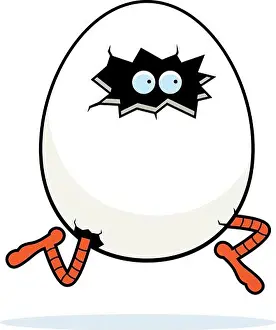 Hatching Prints: A cartoon bird egg hatching and running
